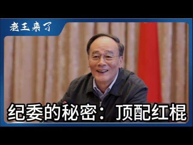 海外傻狍子的天敌，顶配版双花大红棍，一个拥有国家的帮派的终极进化